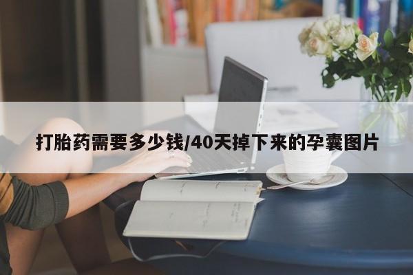 卖正品米非司酮片微信打胎药需要多少钱/40天掉下来的孕囊图片